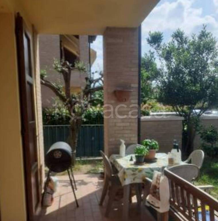 immagine annuncio 9 di 12