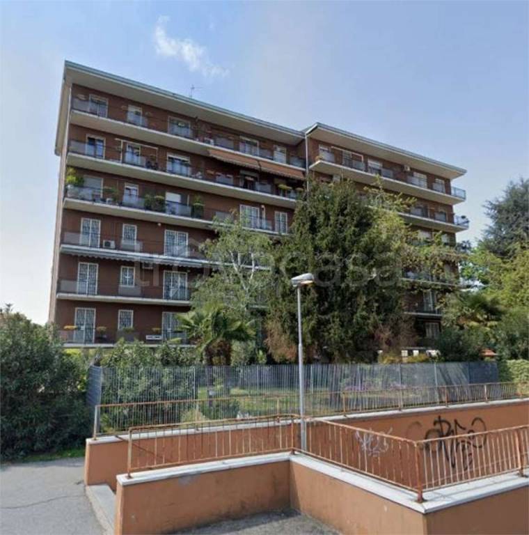 immagine annuncio 9 di 15