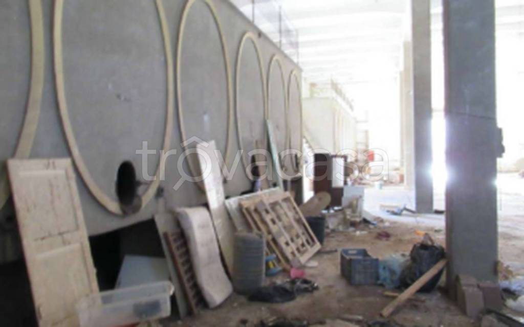 immagine annuncio 9 di 11