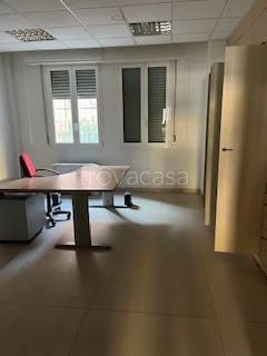 immagine annuncio 4 di 12