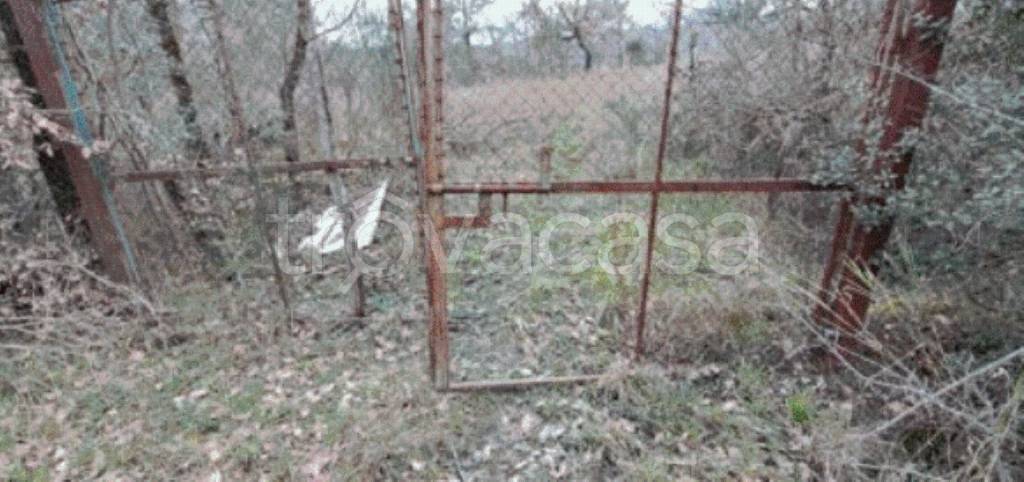 immagine annuncio 2 di 9