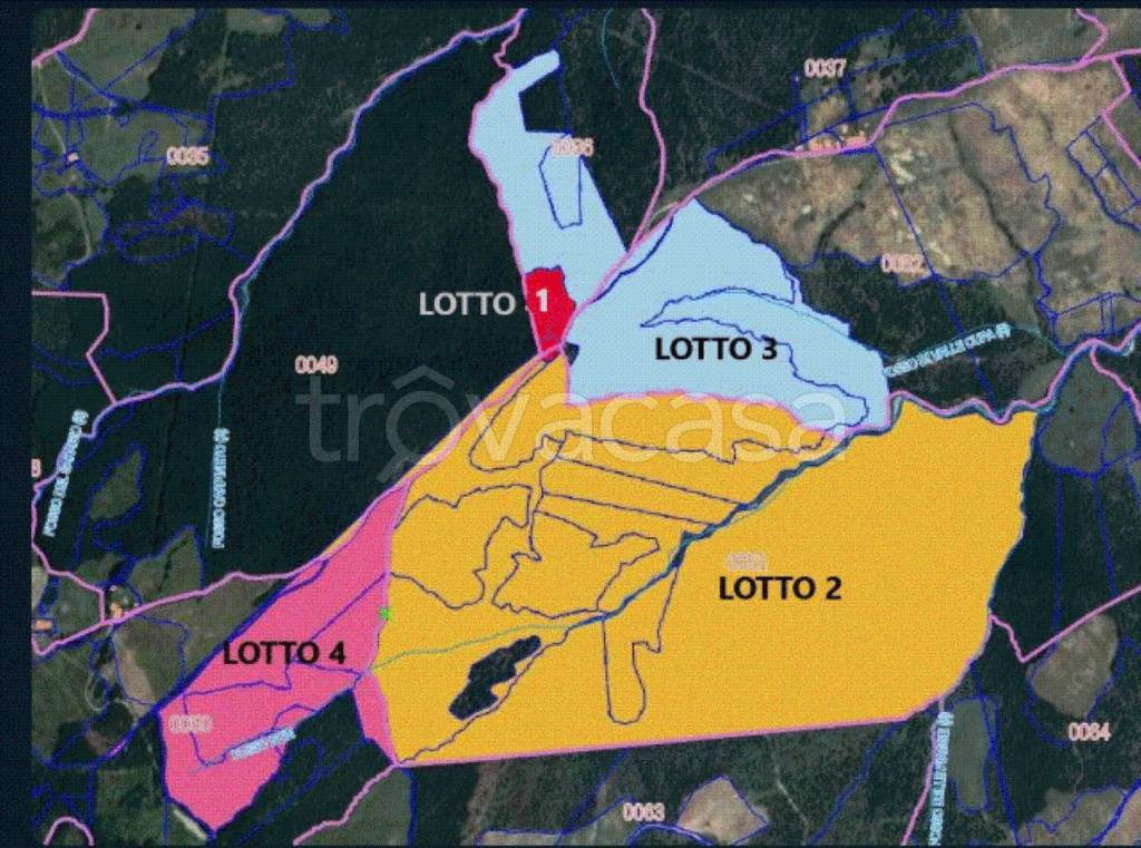 immagine annuncio 7 di 9