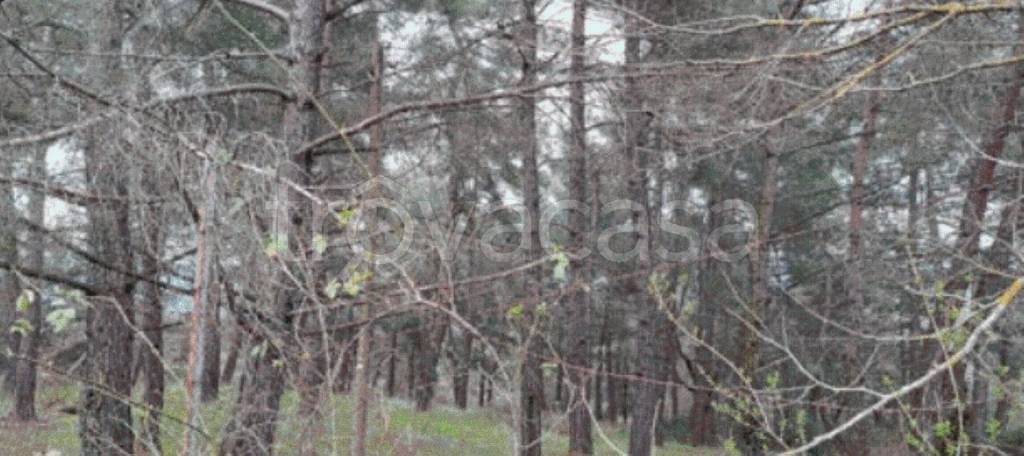 immagine annuncio 8 di 9