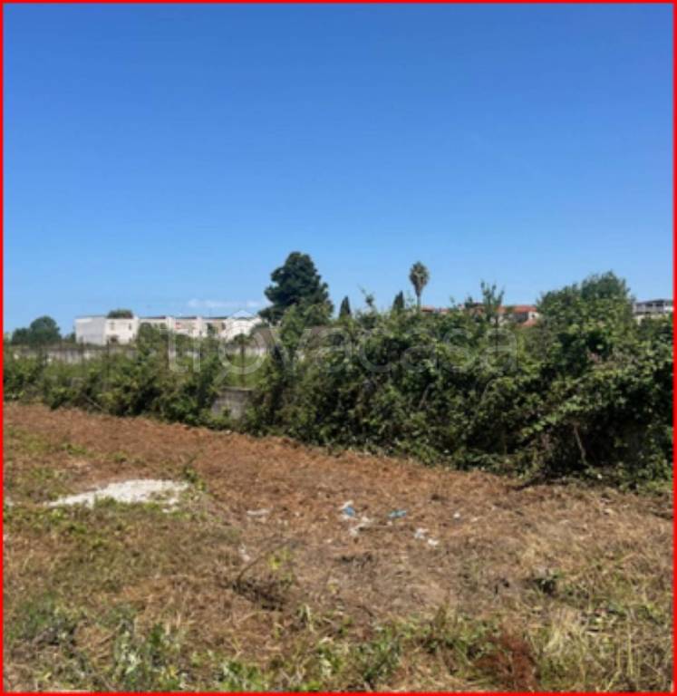 immagine annuncio 3 di 12