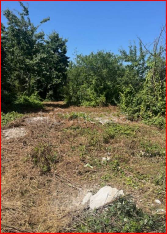 immagine annuncio 4 di 12