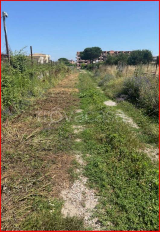 immagine annuncio 5 di 12