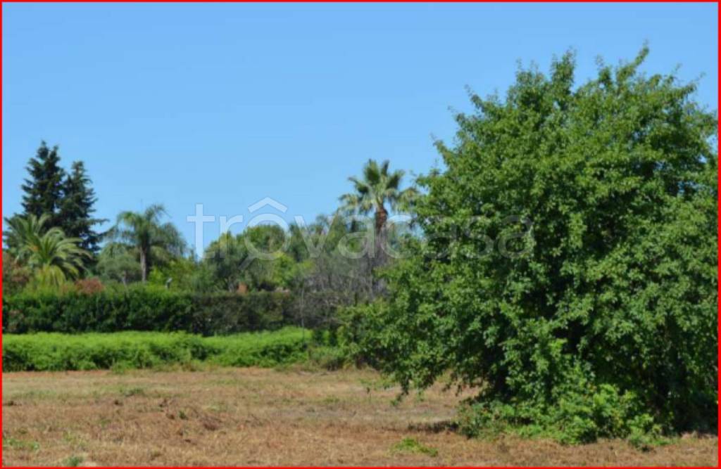 immagine annuncio 8 di 12