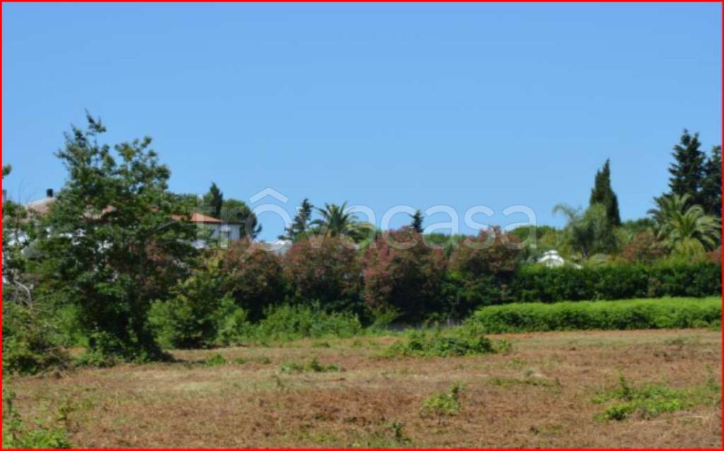 immagine annuncio 9 di 12