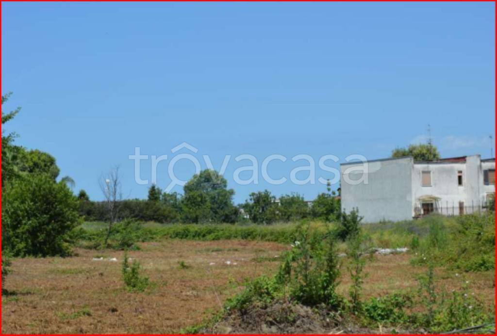 immagine annuncio 10 di 12