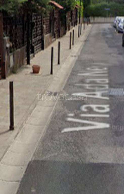 immagine annuncio 9 di 14