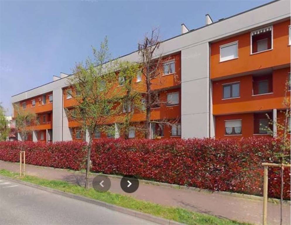 immagine annuncio 7 di 15