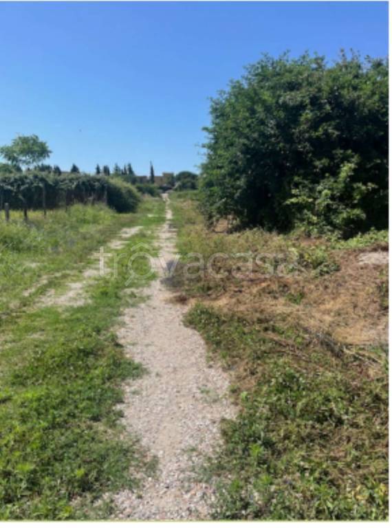 immagine annuncio 6 di 11