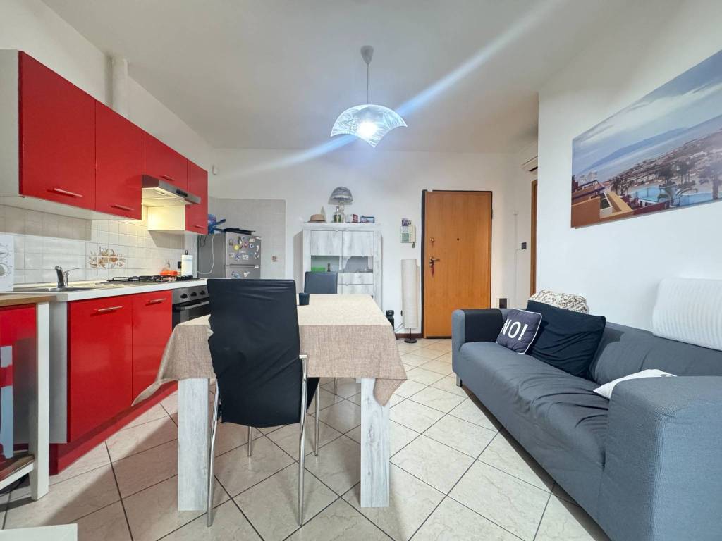 immagine annuncio 6 di 14