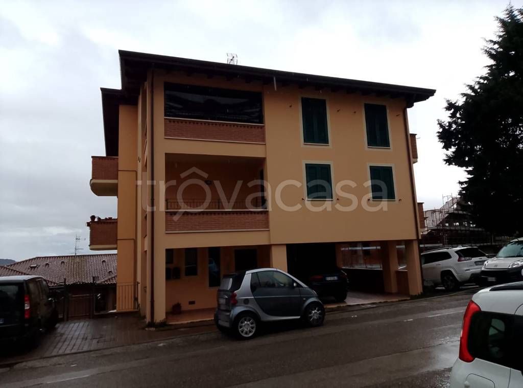 immagine annuncio 4 di 11