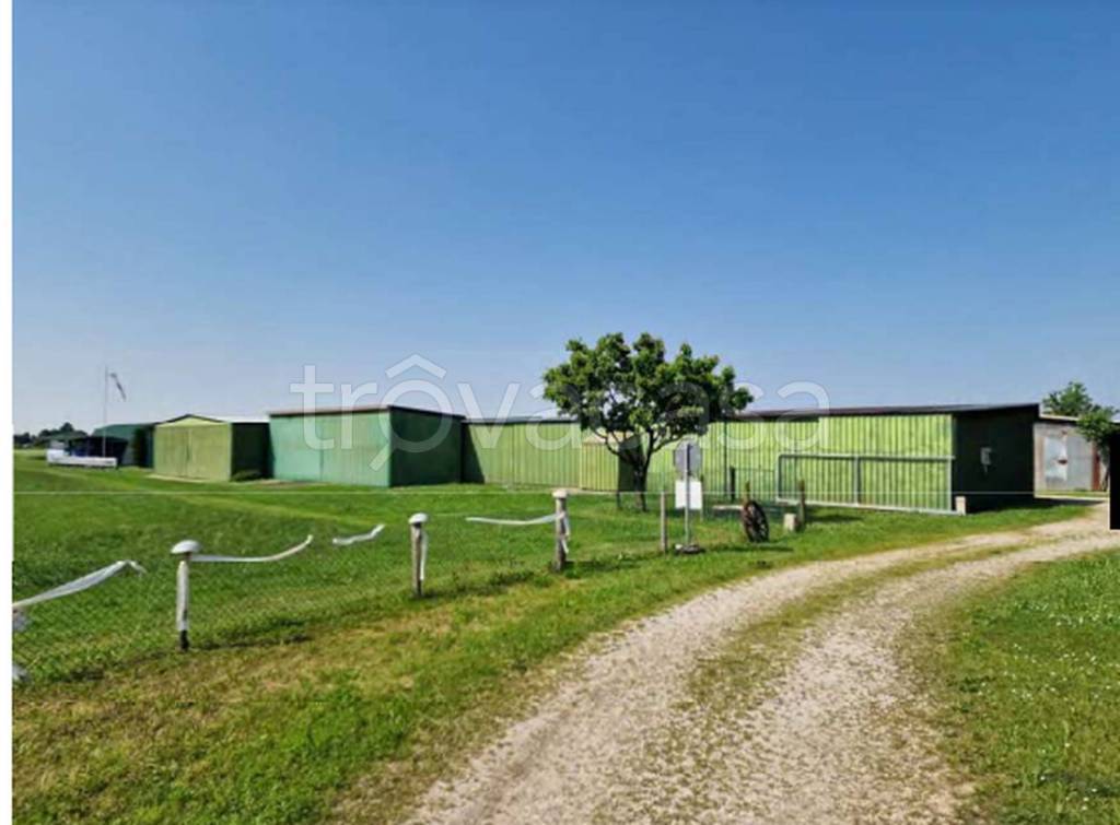 immagine annuncio 2 di 11