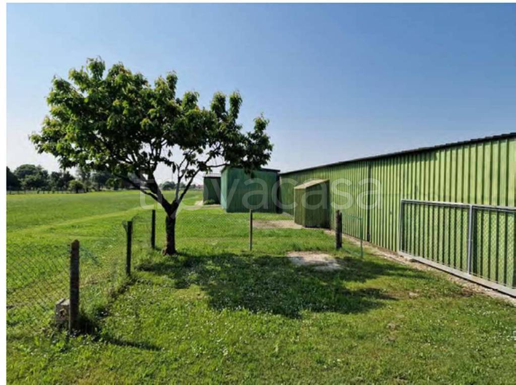 immagine annuncio 3 di 11