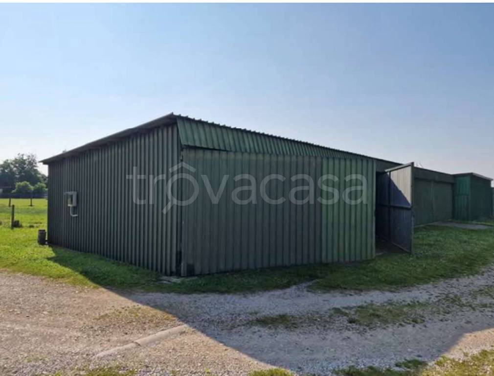 immagine annuncio 4 di 11