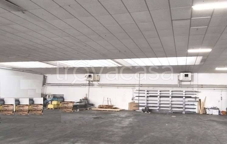 immagine annuncio 2 di 4