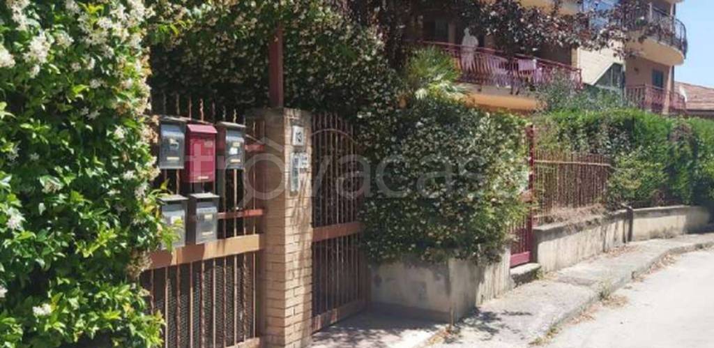 immagine annuncio 6 di 11