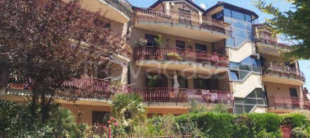 immagine annuncio 9 di 11