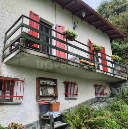 immagine annuncio 3 di 9