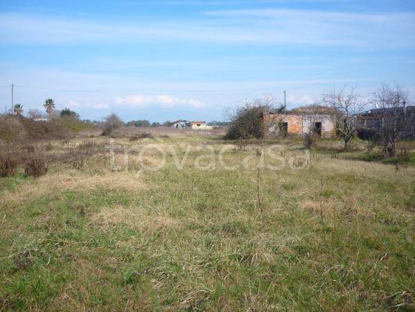 immagine annuncio 1 di 8