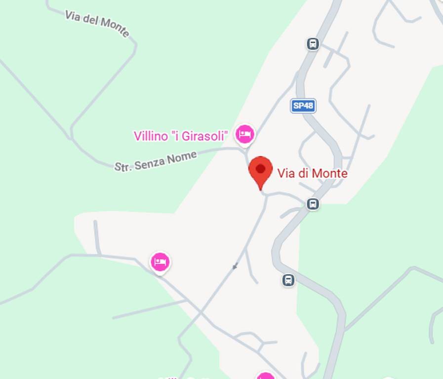 immagine annuncio 9 di 11