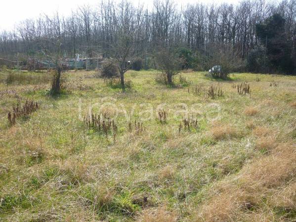 immagine annuncio 3 di 8