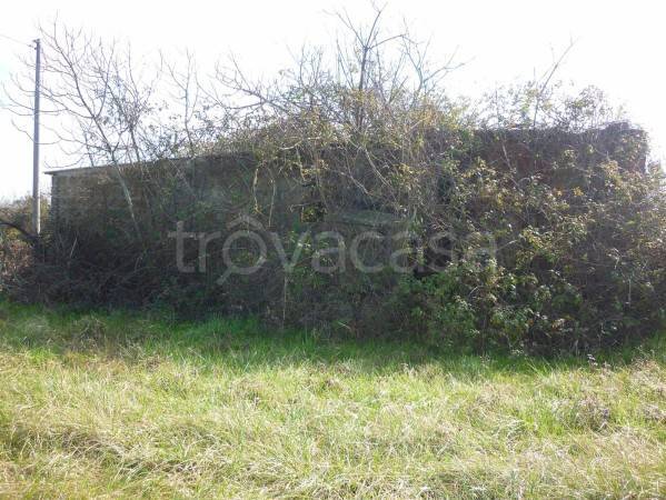 immagine annuncio 4 di 8