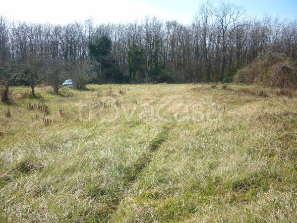 immagine annuncio 5 di 8