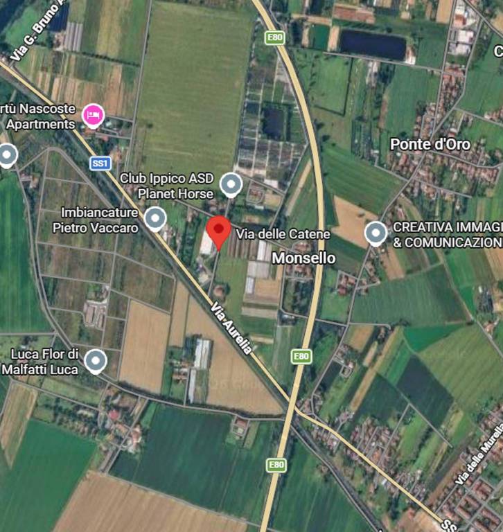 immagine annuncio 3 di 11