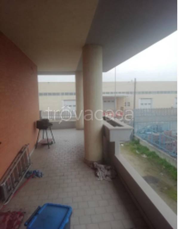 immagine annuncio 5 di 11