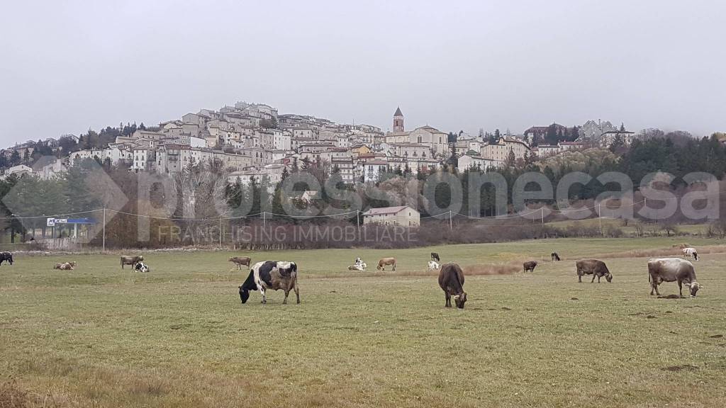 immagine annuncio 7 di 9