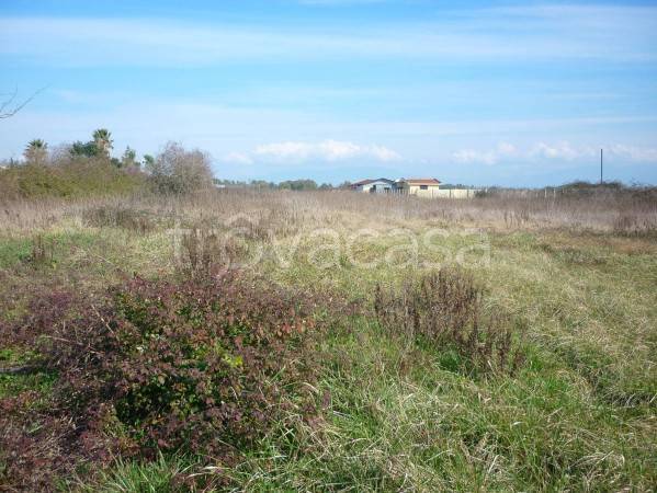 immagine annuncio 6 di 8