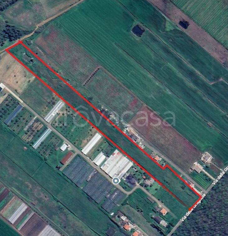 immagine annuncio 7 di 8