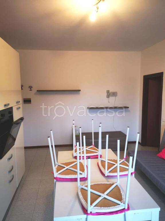 immagine annuncio 5 di 14