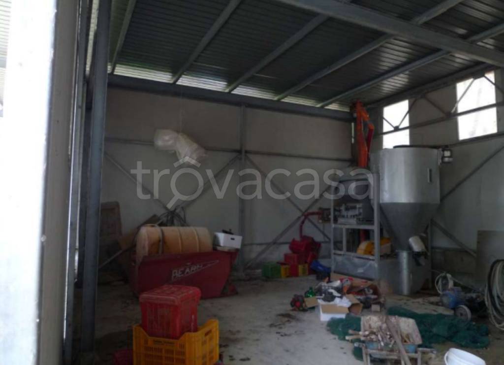 immagine annuncio 2 di 8