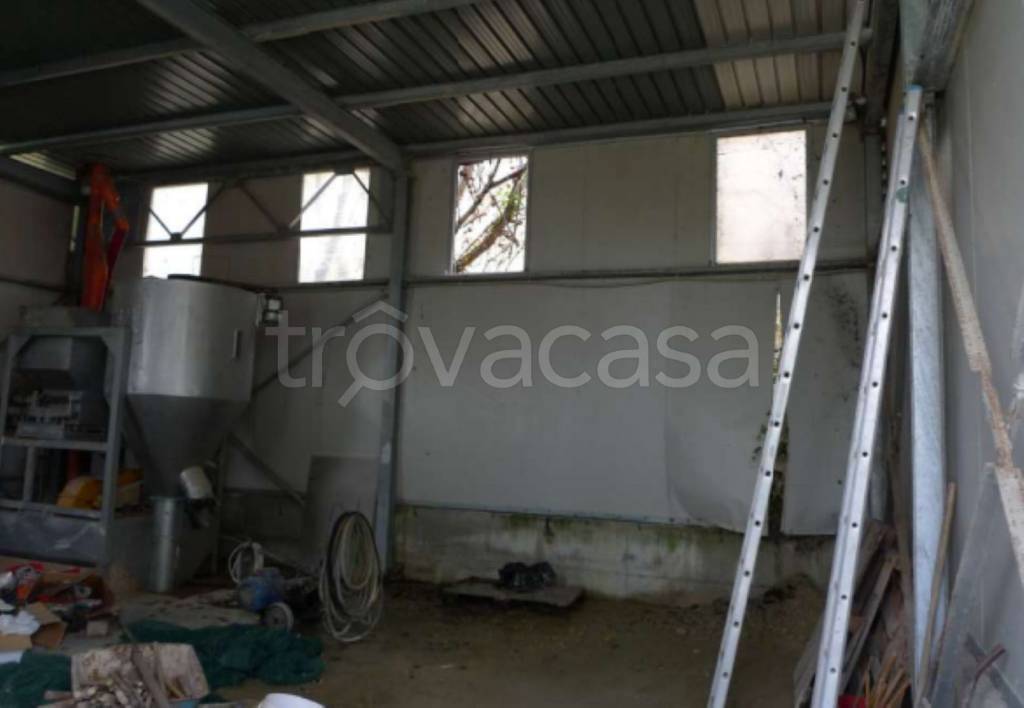 immagine annuncio 3 di 8