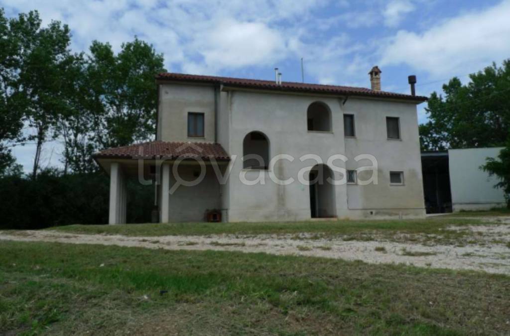 immagine annuncio 4 di 8