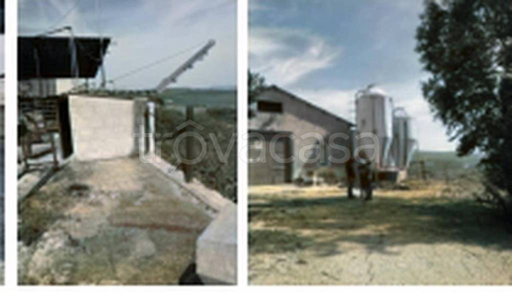 immagine annuncio 8 di 12