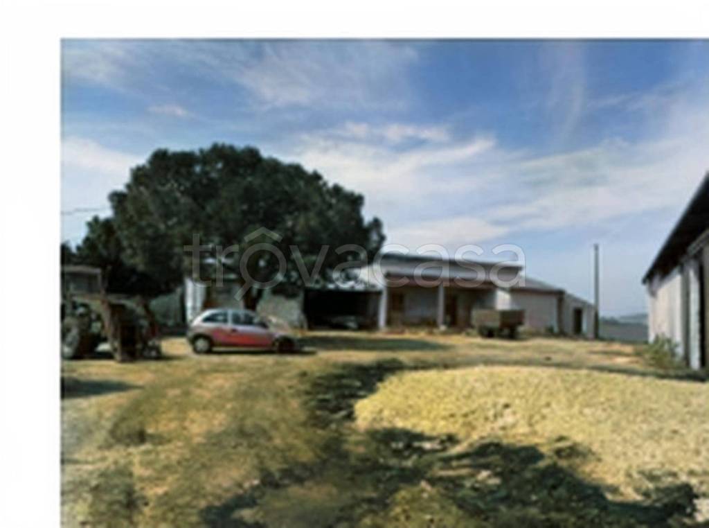 immagine annuncio 9 di 12