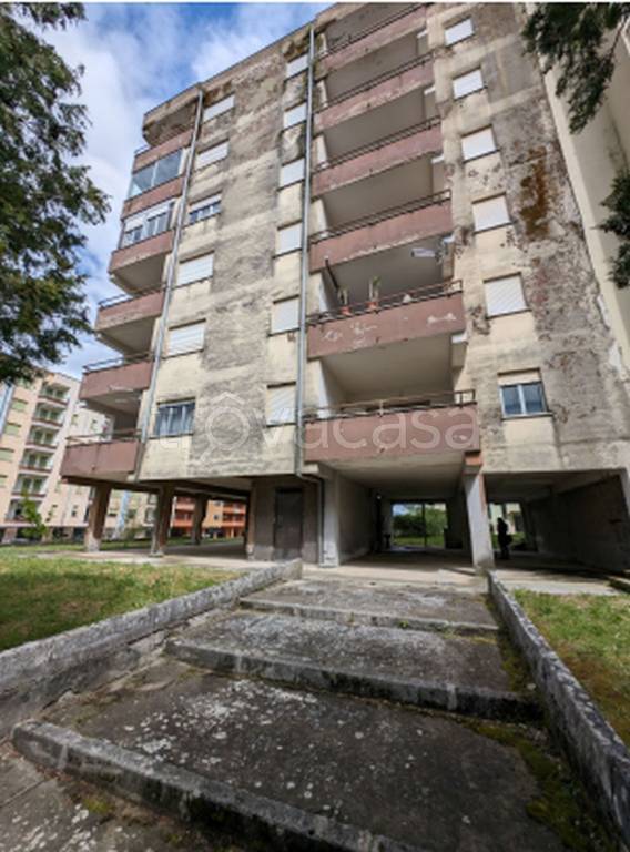 immagine annuncio 9 di 11