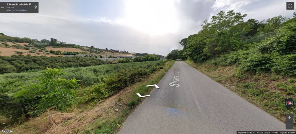 immagine annuncio 8 di 12