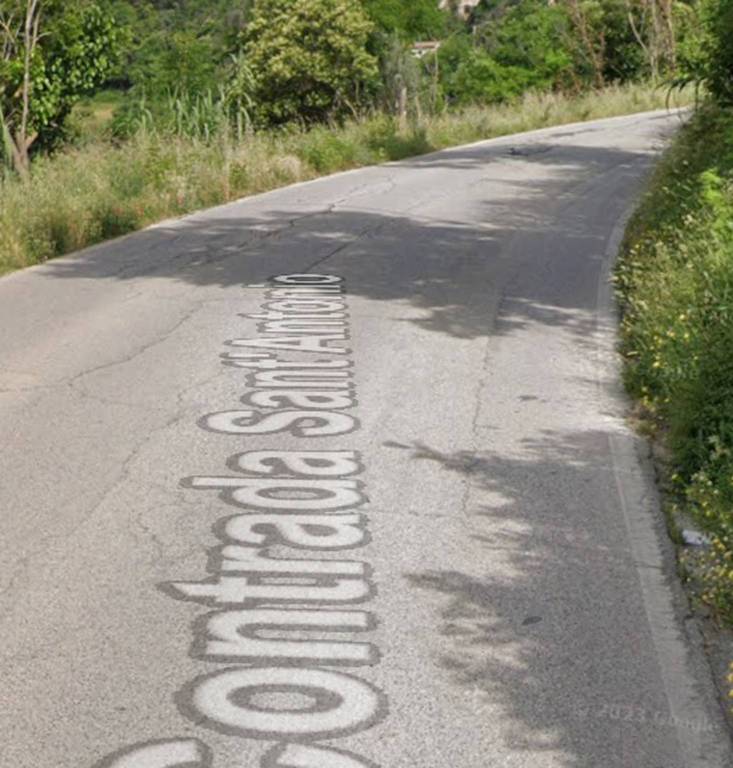 immagine annuncio 10 di 11