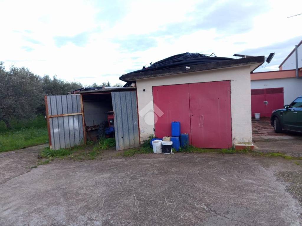 immagine annuncio 10 di 11