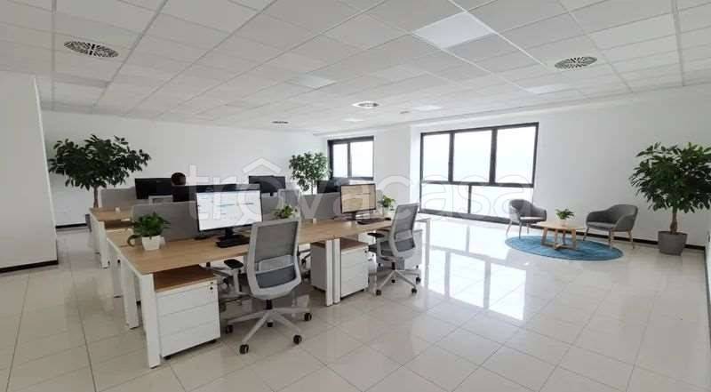 immagine annuncio 3 di 11