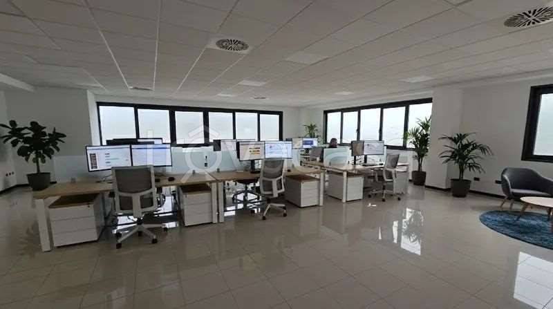 immagine annuncio 7 di 11