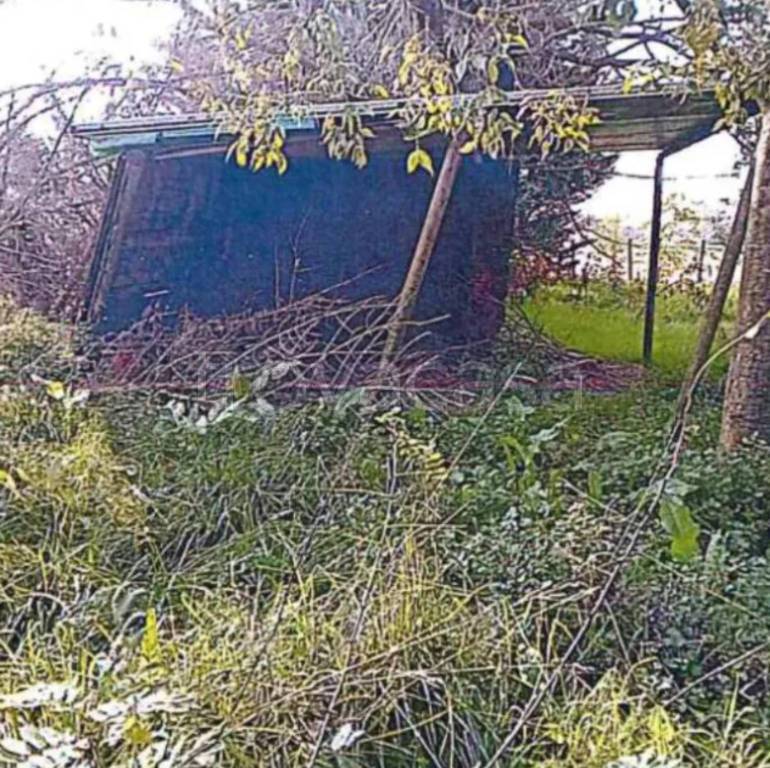 immagine annuncio 10 di 12