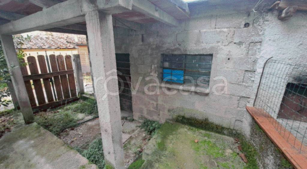 immagine annuncio 6 di 11