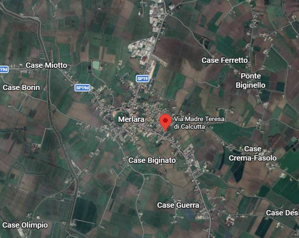 immagine annuncio 3 di 11